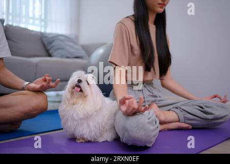 Un jeune couple joue au yoga à la maison. Concept de style de vie et d'activités de loisirs. Banque D'Images