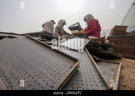 Comté de Luannan, Chine - avril 2023 : les agriculteurs utilisent des machines pour planter et semer du riz sur des plateaux de semis dans une ferme. Banque D'Images