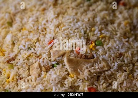 Riz frit au poulet chinois tiré en gros plan Banque D'Images