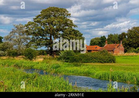 Vue estivale de la rivière Bure près du village de Lamas dans le Norfolk Angleterre Royaume-Uni. Banque D'Images