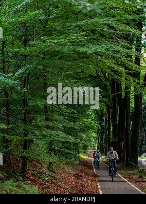 Nijmegen, pays-Bas. 23 septembre 2023. On voit des gens faire du vélo sur une piste cyclable entourée de grands arbres. Avec l'arrivée de l'automne ce week-end, les gens ont pu profiter des températures chaudes dans la campagne en prenant leurs vélos ou la randonnée le long des digues et des forêts. Les animaux de la ferme apprécient également le pâturage. (Photo Ana Fernandez/SOPA Images/Sipa USA) crédit : SIPA USA/Alamy Live News Banque D'Images