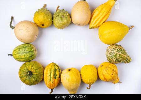Diverses citrouilles ornementales, d'en haut, fond blanc, cadre, espace de copie Banque D'Images