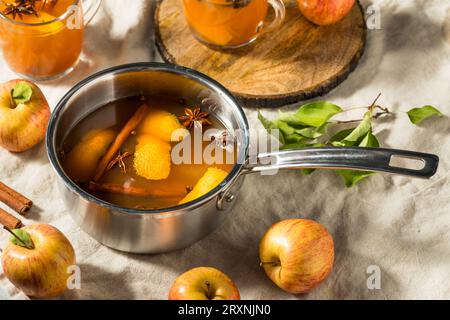Cidre de pomme chaud biologique dans une tasse Banque D'Images