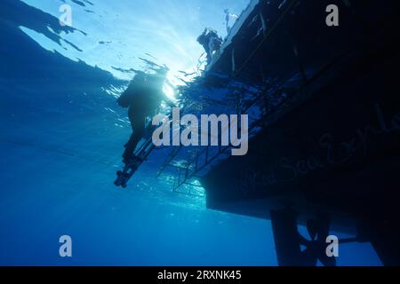 Safari bateau, bateau de plongée, livaboard Red Sea Explorer par en bas, échelle, sortie. Le plongeur sort de l'eau. Site de plongée Small Abu Reef, Fury Shoals, Red Banque D'Images