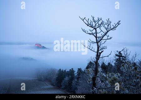 Château de Hohenzollern avec des lumières de Noël dans le brouillard de la corne de Zeller, Hechingen, Alb souabe, Baden-Wuerttemberg, Allemagne Banque D'Images