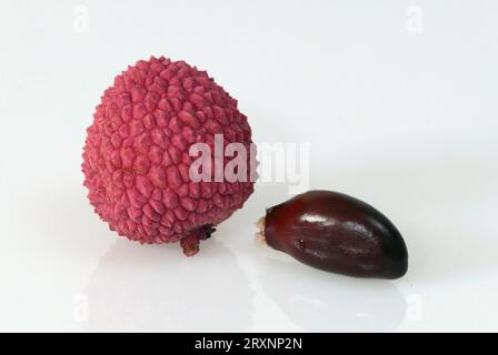 Litchi (Litchi chinensis) fruits Banque D'Images