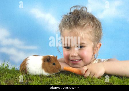 G Pig, fille avec cochon d'inde, intérieur, Studio, indoorGirl avec cochon d'Inde Banque D'Images