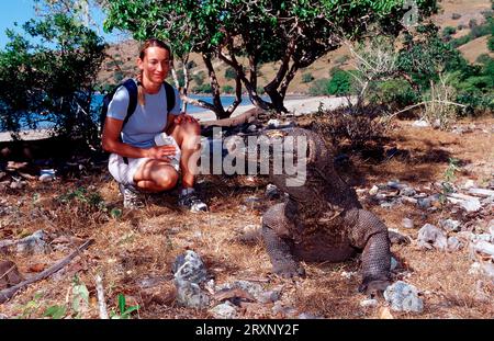 Touriste avec Dragon de Komodo (Varanus komodoensis), île de Komodo, parc national de Komodo, Indonésie Banque D'Images