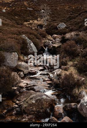 Ruisseau de montagne coulant à travers le paysage de landes rocheuses dans les Highlands écossais Banque D'Images