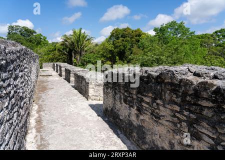 Structure A-32 sur le front d'El Castillo (structure A-6) dans les ruines mayas de la réserve archéologique de Xunantunich au Belize. Banque D'Images