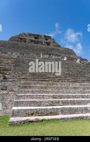 El Castillo, structure 6, avec l'escalier de la structure 32 en face dans la réserve archéologique de Xunantunich au Belize. Banque D'Images