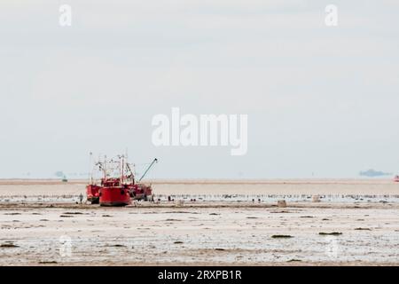 Des bateaux de coquillages échouèrent dans le Wash pour ramasser des coques à marée basse. Les bateaux flottent à marée haute suivante. Banque D'Images