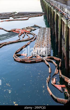 Paysage urbain de la barrière flottante sur des pontons reliés les uns aux autres dans la baie avec une jetée en bois et une infrastructure portuaire dans l'ancien Boston industriel Banque D'Images