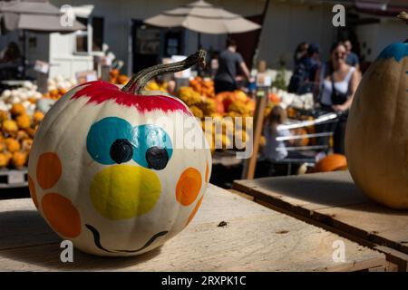 Citrouilles peintes, colorées et vibrantes à vendre dans une ferme familiale par un après-midi d'automne ensoleillé, 2023, Sharon, Massachusetts, États-Unis Banque D'Images