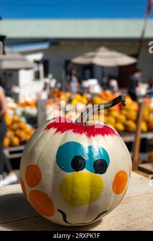 Citrouilles peintes, colorées et vibrantes à vendre dans une ferme familiale par un après-midi d'automne ensoleillé, 2023, Sharon, Massachusetts, États-Unis Banque D'Images