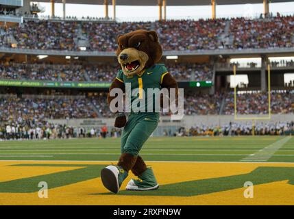 Waco, Texas, États-Unis. 23 septembre 2023. Baylor Bears mascotte lors de la 1e moitié du match de football de la NCAA entre les Texas Longhorns et les Baylor Bears au McLane Stadium de Waco, Texas. Matthew Lynch/CSM/Alamy Live News Banque D'Images