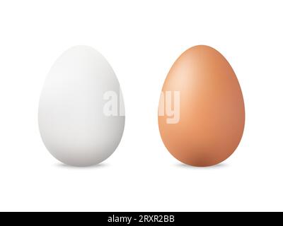 Ensemble d'œufs. Oeufs de poule blancs et bruns réalistes. Concept de nourriture biologique. Coquille d'œuf entière avec ombre douce. Maquette d'éléments de Pâques sur fond blanc. V Illustration de Vecteur