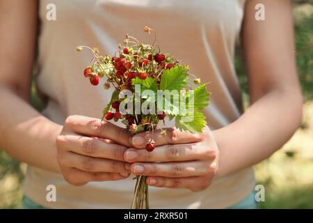 Femme tenant bouquet avec des fraises sauvages fraîches sur fond flou, gros plan Banque D'Images