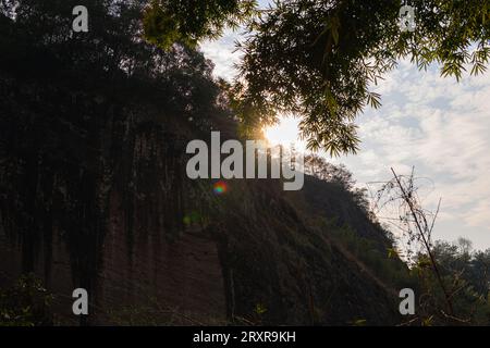 Soleil couchant derrière la montagne dans la région pittoresque de Wuyishan, Fujian, Chine. Bamboo au premier plan, copier l'espace pour le texte Banque D'Images