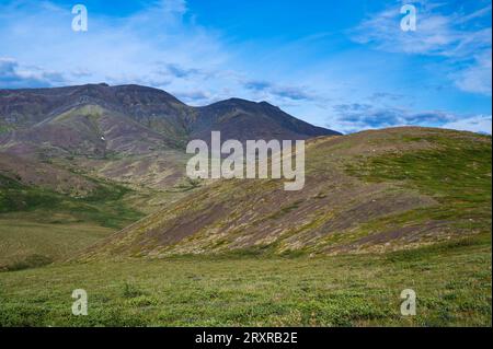 Toundra et montagnes au nord du cercle arctique sur la route Dempster au sud Inuvik, Territoires du Nord-Ouest, Canada Banque D'Images