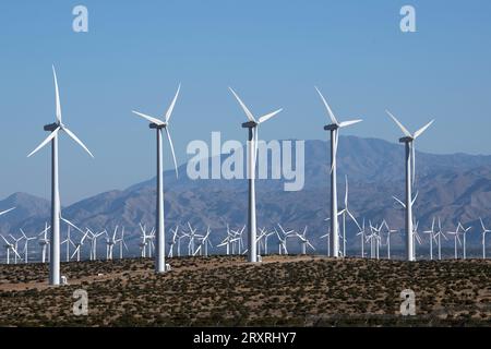 Quelques-unes des plus de 1200 éoliennes commerciales du parc éolien San Gorgonio Pass, qui alimente en électricité Palm Springs et Los Angeles, en Californie Banque D'Images