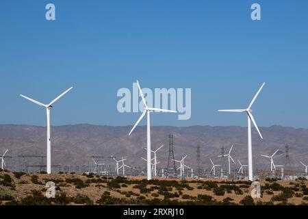 Quelques-unes des plus de 1200 éoliennes commerciales du parc éolien San Gorgonio Pass, qui alimente en électricité Palm Springs et Los Angeles, en Californie Banque D'Images