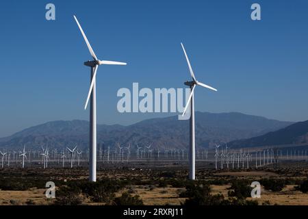 Quelques-unes des plus de 1200 éoliennes commerciales du parc éolien San Gorgonio Pass, qui alimente en électricité Palm Springs et Los Angeles, en Californie Banque D'Images