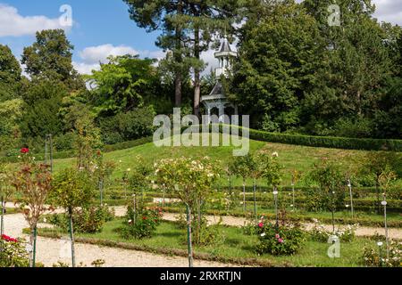 Roseraie dans le parc Bagatelle - Paris, France Banque D'Images