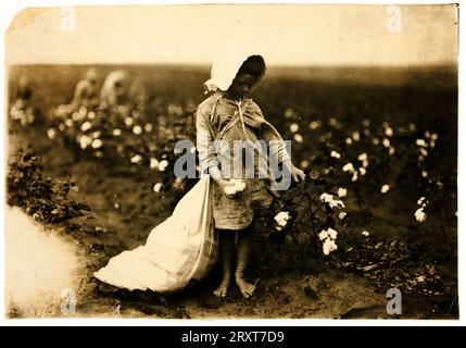 Lewis Hine : Vera Hill, 5 ans, récolteuse de coton, Comanche County, Oklahoma, 1916 Vera Hill, 5 ans cueille 25 livres par jour. Banque D'Images