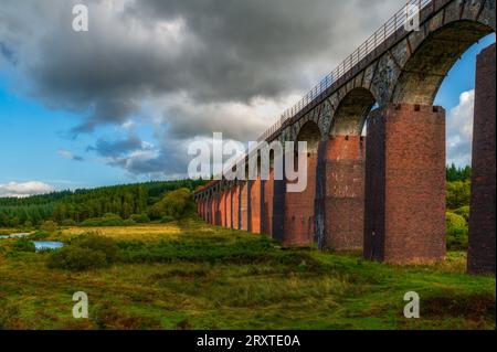 The Big Water of Fleet Viaduct, Dromore, Gatehouse of Fleet, Dumfries et Galloway, Écosse Banque D'Images