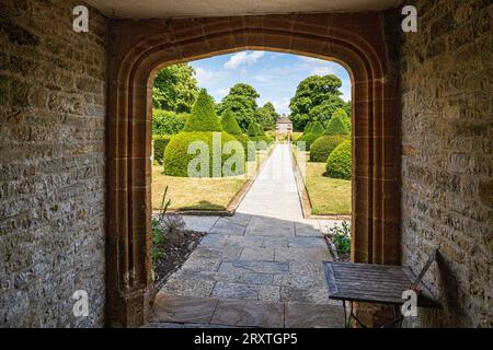 Yew Topiary dans le jardin de style Arts and Crafts vu à travers une arche à quatre centres au Lytes Cary Manor House médiéval près de Somerton, Somerton, Somerset, Angleterre Banque D'Images