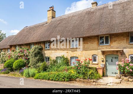 Roses en juin poussant sur un chalet traditionnel typique en pierre de chaume dans le village Cotswold de Taynton, Oxfordshire, Angleterre Banque D'Images