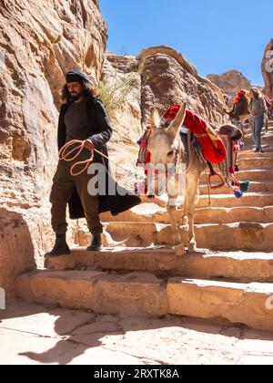 Ânes sur le chemin du monastère de Petra (Al Dayr), parc archéologique de Petra, UNESCO, l'une des sept nouvelles merveilles du monde, Petra, Jordanie Banque D'Images