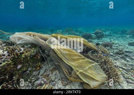 Filet fantôme abandonné piégé dans les récifs peu profonds au large de l'île Bangka, au large de la pointe nord-est de Sulawesi, Indonésie, Asie du Sud-est, Asie Banque D'Images