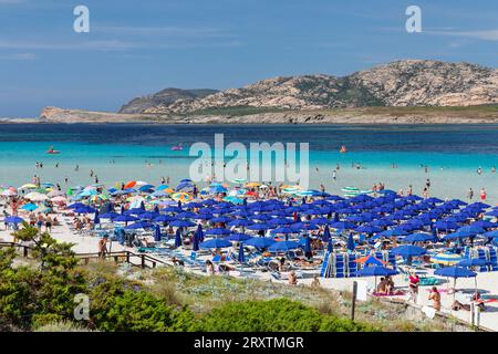 Plage de la Pelosa, Golfe d'Asinara, Stintino, province de Sassari, Sardaigne, Italie, Méditerranée, Europe Banque D'Images