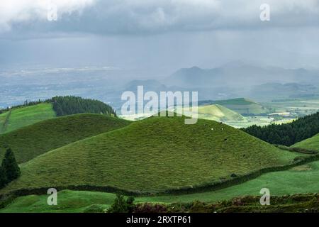 Miradouro do Pico do Carvao point de vue sur les collines verdoyantes de l'île de Sao Miguel, îles des Açores, Portugal, Atlantique, Europe Banque D'Images