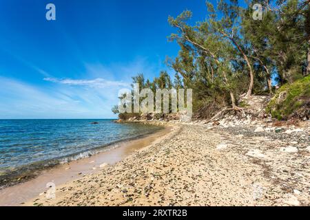 Glass Beach, site de grandes quantités de verre de mer, provenant d'épaves et de bouteilles jetées à la mer depuis le Royal Navy Dockyard Banque D'Images