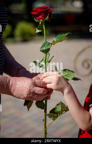 une fille donne des fleurs à un vieil homme. vertical Banque D'Images