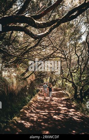 Vue panoramique de deux jeunes enfants, frères et sœurs, marchant main dans la main sous les arbres en surplomb, sentier de randonnée Levada das 25 Fontes, Madère, Portugal Banque D'Images