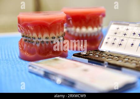 démonstration du modèle dentaire des appareils orthodontiques et des outils médicaux. gros plan Banque D'Images