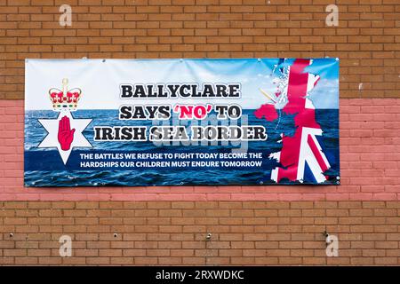 Signalisation contre le Brexit à la frontière de la mer d'Irlande pour le commerce de l'UE, Ballyclare, comté d'Antrim, Irlande du Nord. Banque D'Images