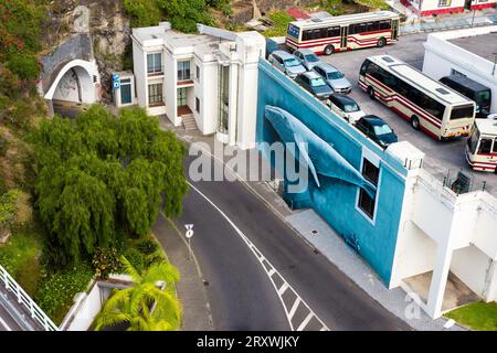 Vue aérienne d'une peinture murale sur le mur extérieur d'un bâtiment à Funchal, Madère, Portugal, représentant une baleine à bosse nageant par une fenêtre Banque D'Images