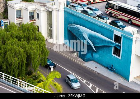 Vue aérienne d'une peinture murale sur le mur extérieur d'un bâtiment à Funchal, Madère, Portugal, représentant une baleine à bosse nageant par une fenêtre Banque D'Images