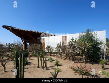 Maison principale avec toit de chaume de paille. Casa Leria, Puerto Escindido, Mexique. Architecte : TAC Taller Alberto Calleja , 2023. Banque D'Images