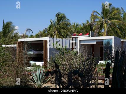Modules de chambre encastrés dans la végétation. Casa Leria, Puerto Escindido, Mexique. Architecte : TAC Taller Alberto Calleja , 2023. Banque D'Images