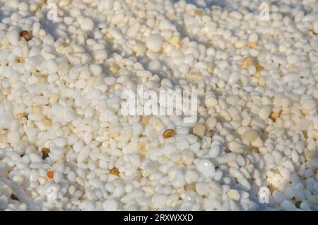 Cailloux blancs, pierres de marbre sur le rivage de la mer, bon pour le fond Banque D'Images