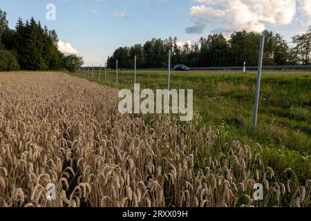 Drone point de vue de la clôture de division entre l'autoroute et le champ agricole pendant la journée d'été Banque D'Images