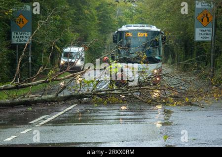 Mercredi 27 2023 septembre, Bantry, West Cork Ireland ; la tempête Agnes a frappé la terre à Bantry ce matin. Les conducteurs sont avertis de s'attendre à des retards en cas d'inondation et de tenir compte des usagers vulnérables de la route. Les chauffeurs de Bantry ont dû attendre que les ouvriers nettoient un arbre tombé sur la N71 Glengarriff Road à Ballylickey. Photo ; Evan Doak crédit : Evan Doak/Alamy Live News Banque D'Images