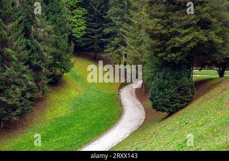 le chemin à travers une zone boisée. Le chemin est fait de gravier et serpente à travers une zone herbeuse avec des arbres de chaque côté. Banque D'Images