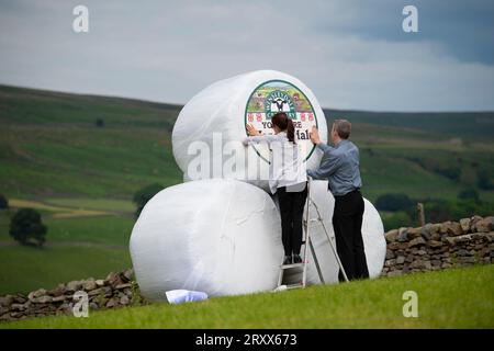 Exposition de fromages Wensleydale à Wensleydale Creamery, Hawes, Wensleydale, Yorkshire Dales, Royaume-Uni Banque D'Images